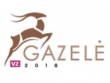 Spalio 10 d. Panevėžyje vyks tradicinė smulkaus ir vidutinio verslo konferencija „Gazelė 2018“. 